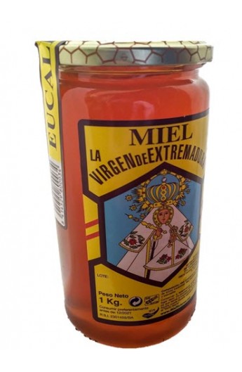 Miel de Eucalipto Virgen de Extremadura 1000 gr